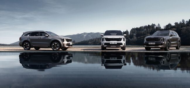 "자동차 新삼국지"...하이브리드차 확대에 